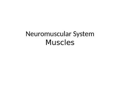Neuromuscular System Muscles