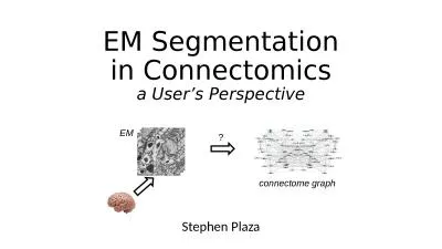 EM Segmentation in  Connectomics