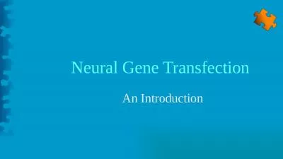 Neural Gene Transfection