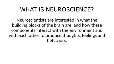 WHAT IS NEUROSCIENCE? Neuroscientists are interested in what the building blocks of the