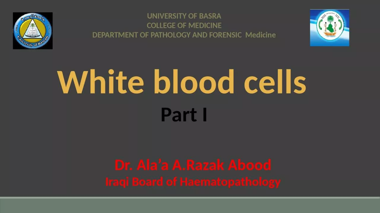 PPT-White blood cells UNIVERSITY OF BASRA