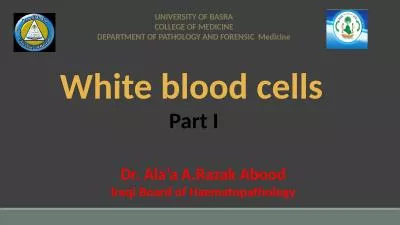 White blood cells UNIVERSITY OF BASRA