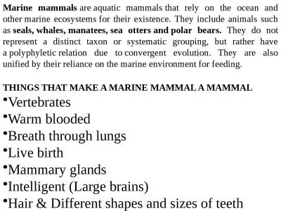 THINGS THAT MAKE A MARINE MAMMAL A MAMMAL
