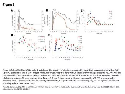 Figure 1 Figure 1.&nbsp;Shedding of Norwalk virus in feces. The quantity of viral