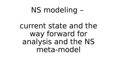NS modeling –  current state and the way forward for analysis and the NS meta-model