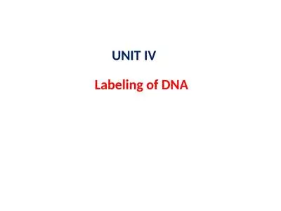 Labeling of DNA UNIT IV Radioactivity and stable isotopes