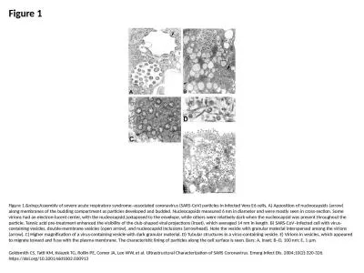 Figure 1 Figure 1.&nbsp;Assembly of severe acute respiratory syndrome–associated