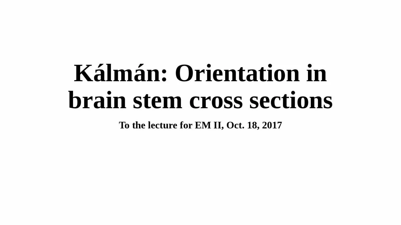 PPT-Kálmán: Orientation