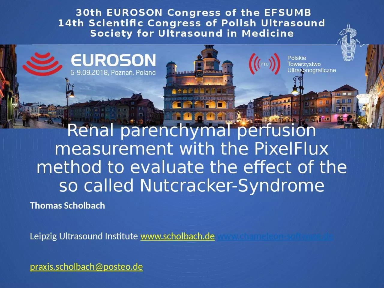 PPT-Renal parenchymal perfusion measurement with the PixelFlux method to evaluate the effect