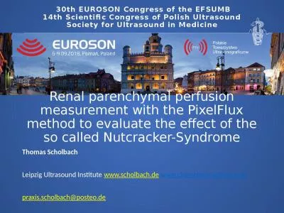 Renal parenchymal perfusion measurement with the PixelFlux method to evaluate the effect