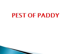 PEST OF PADDY Paddy   : -