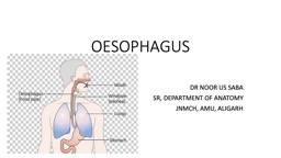 OESOPHAGUS DR NOOR US SABA