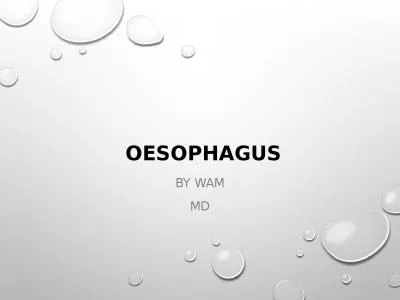 Oesophagus By WAM MD Anatomy