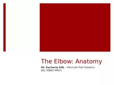 The Elbow: Anatomy Mr  Zacharia Silk