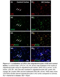 Figure  e-7.  Localization of LPS in the oligodendrocytes of AD and control brains.