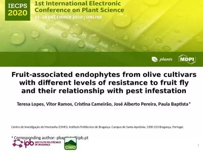 Fruit-associated endophytes from olive cultivars with different levels of resistance to