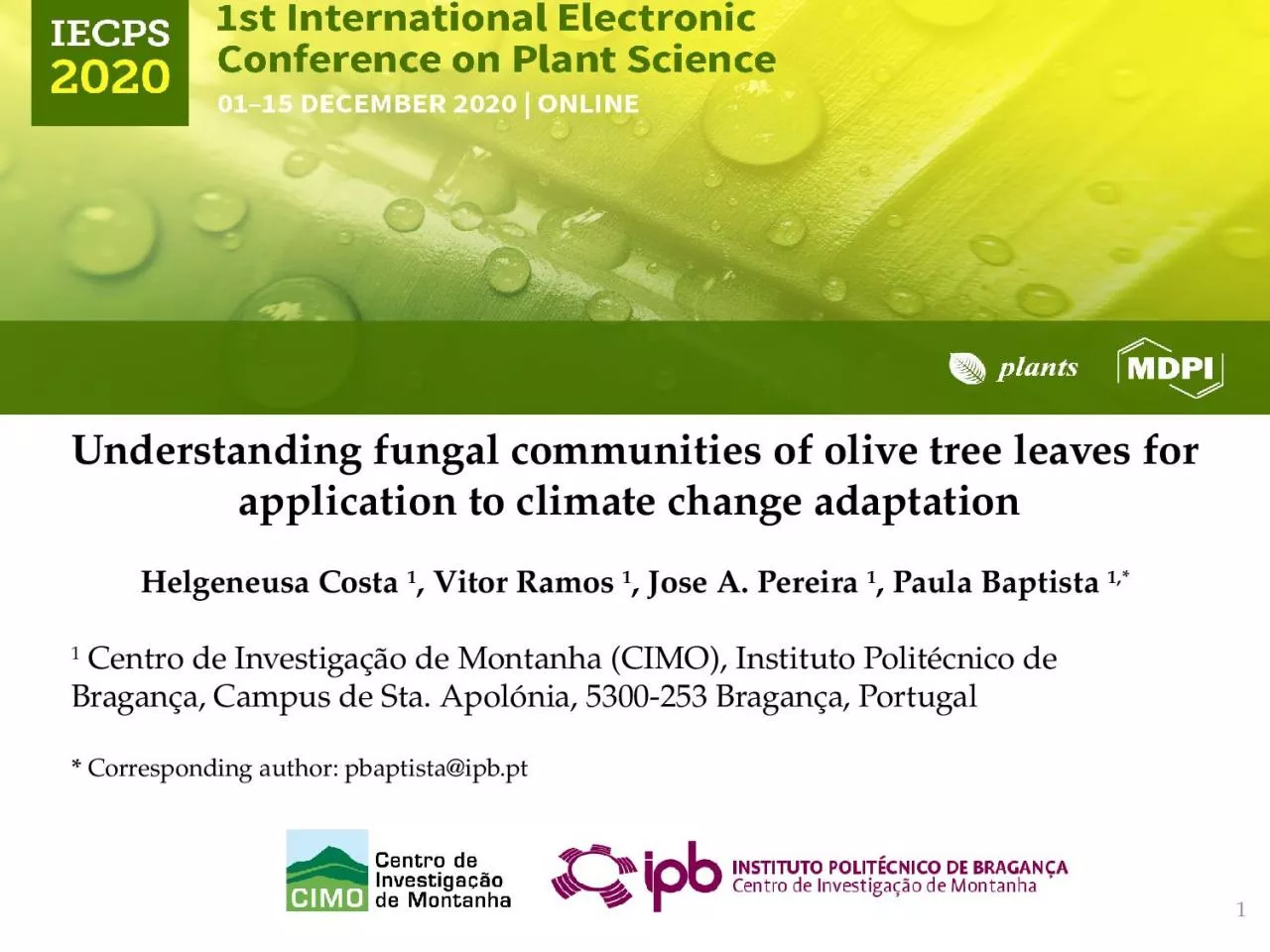 PPT-Understanding fungal communities of olive tree leaves for application to climate change