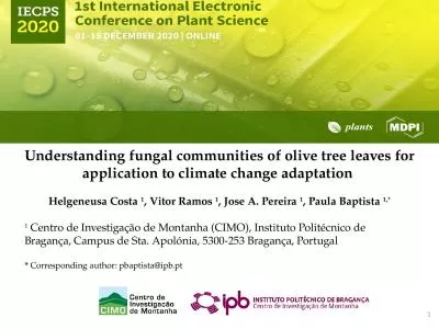 Understanding fungal communities of olive tree leaves for application to climate change adaptation