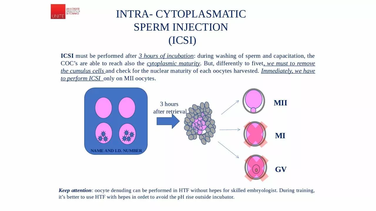 PPT-INTRA- CYTOPLASMATIC SPERM INJECTION