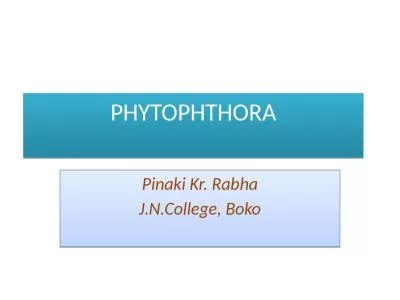 PHYTOPHTHORA Pinaki  Kr.