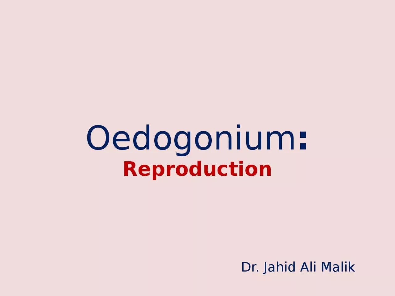 PPT-Oedogonium : Reproduction