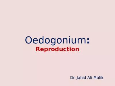 Oedogonium : Reproduction