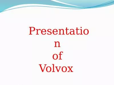 Presentation  of  Volvox