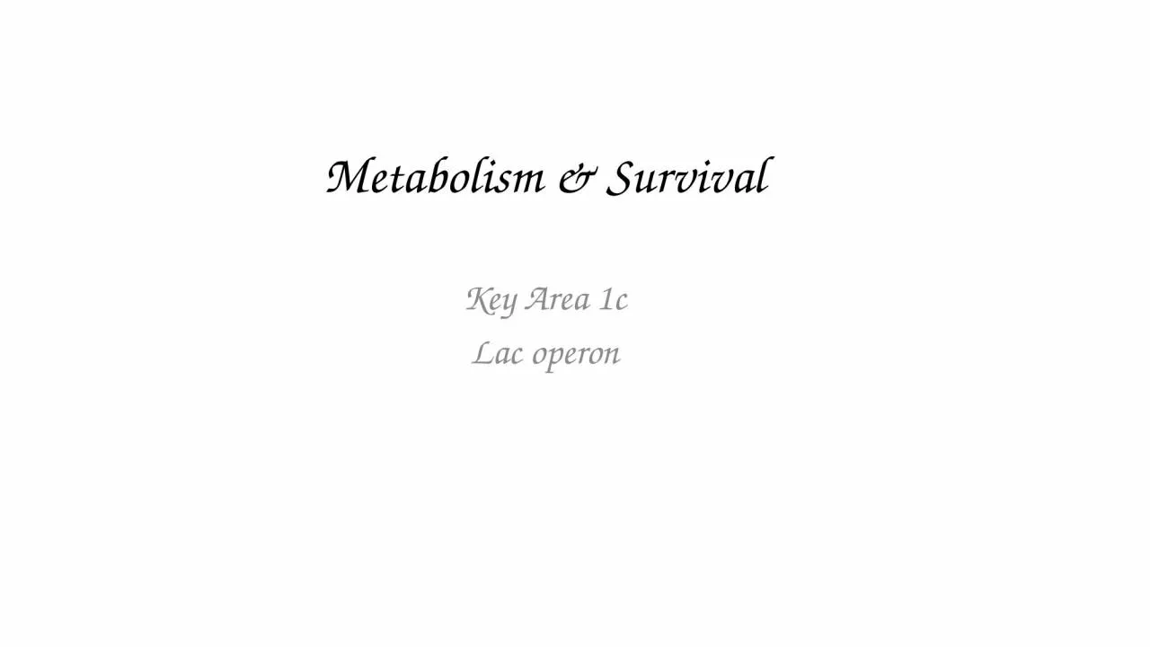 Metabolism & Survival