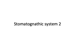 Stomatognathic  system 2