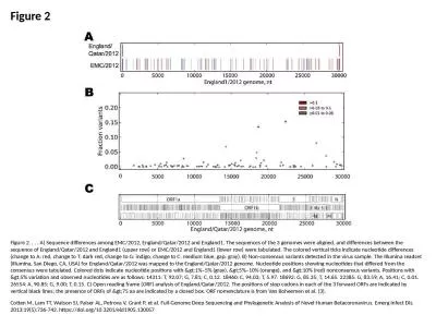 Figure 2 Figure 2. . . . A) Sequence differences among EMC/2012, England/Qatar/2012 and England1. T