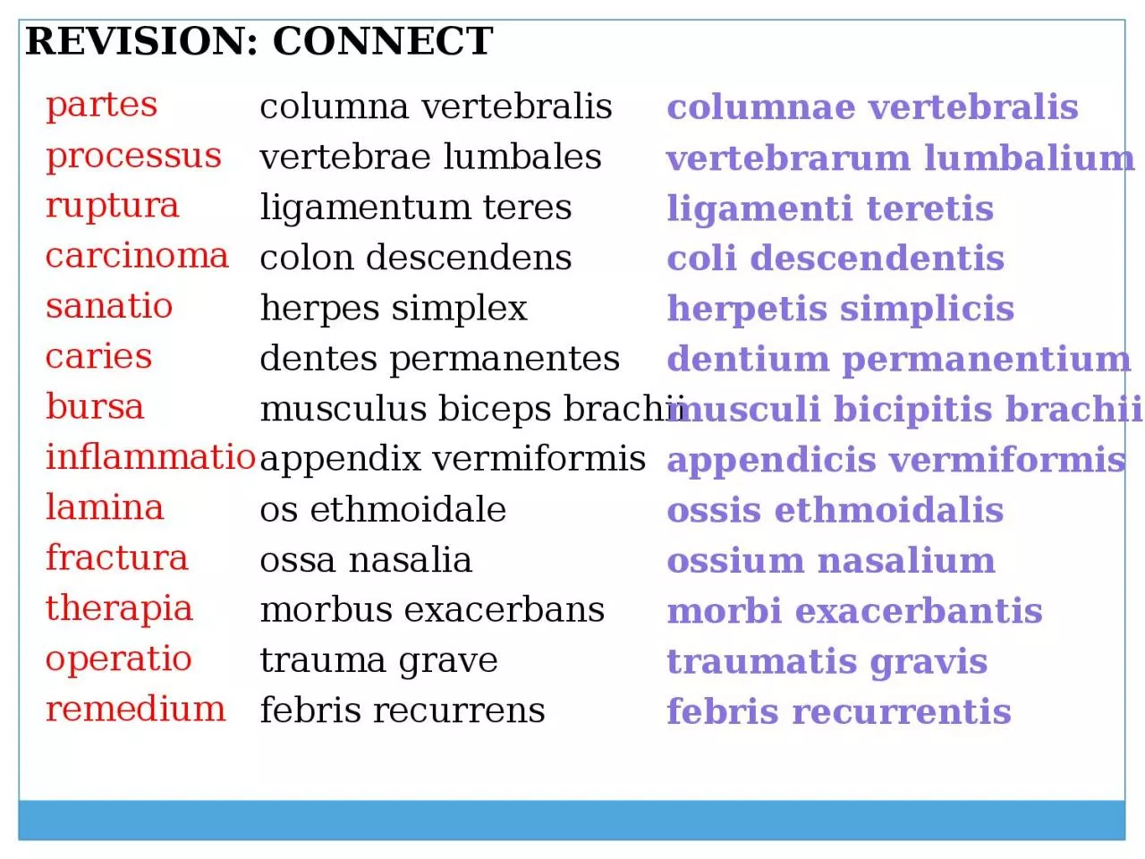 PPT-REVISION: CONNECT columna