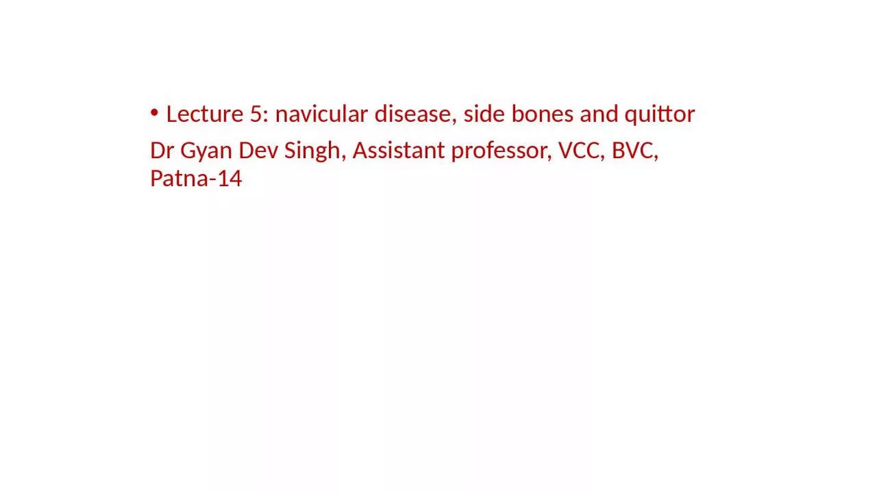 PPT-Lecture 5: navicular disease, side bones and