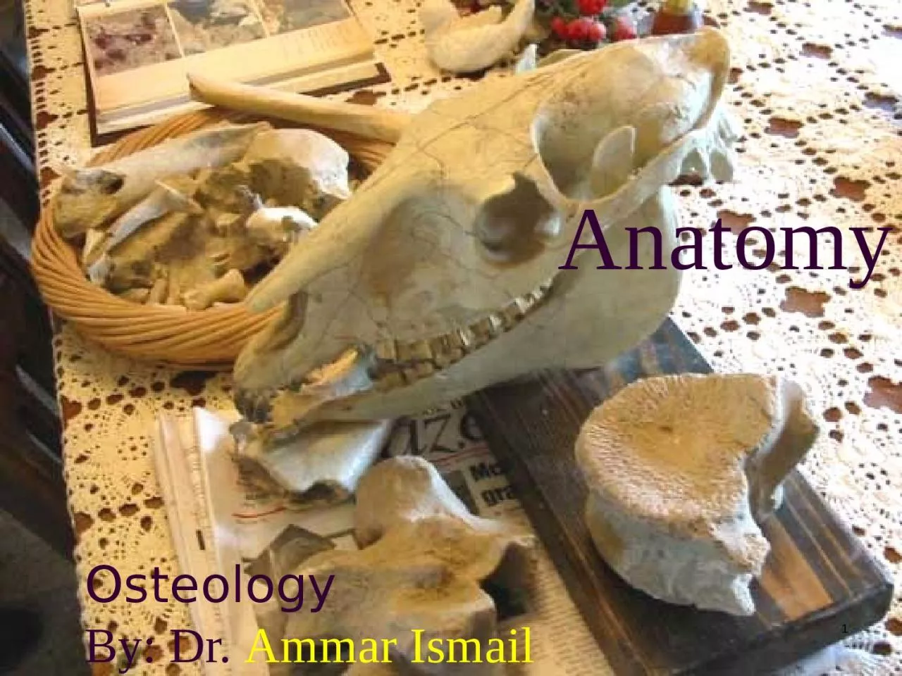 PPT-Osteology By: Dr. Ammar Ismail