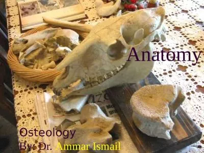 Osteology By: Dr.  Ammar Ismail