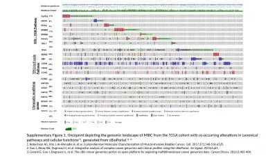 RTK – PI3K Pathway TP53/cell cycle Pathway