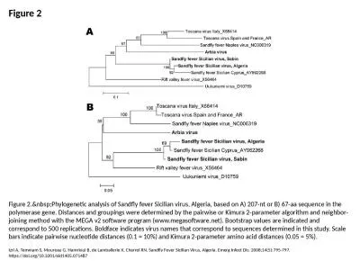 Figure 2 Figure 2.&nbsp;Phylogenetic analysis of Sandfly fever Sicilian virus, Algeria, based o