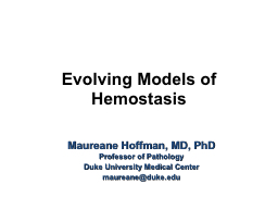 Evolving Models of Hemostasis