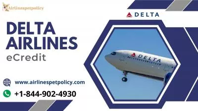 What is an e credit on Delta?