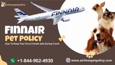 What is Finnair pet policy?