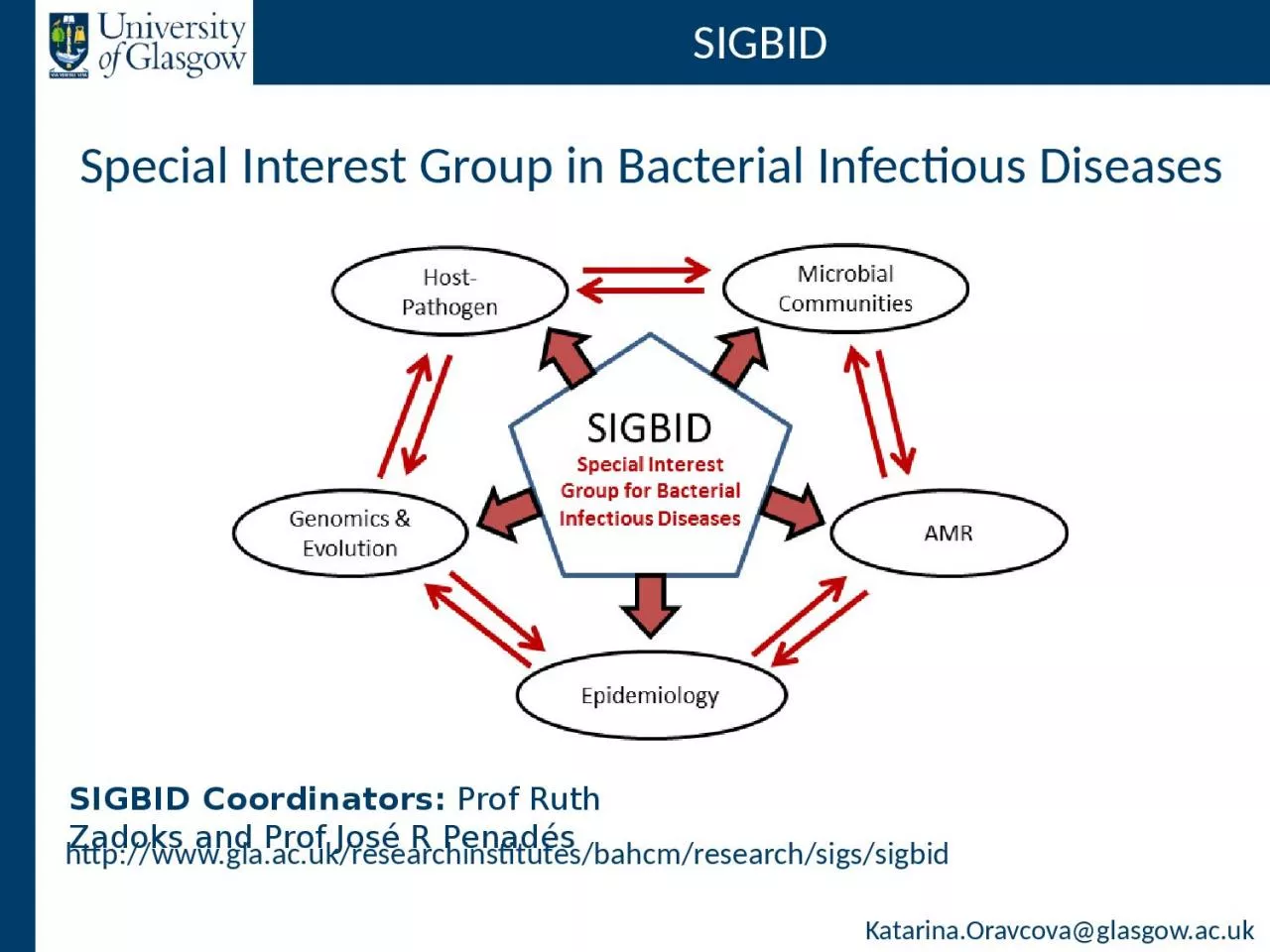 PPT-SIGBID Special Interest Group in