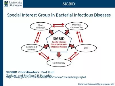 SIGBID Special Interest Group in