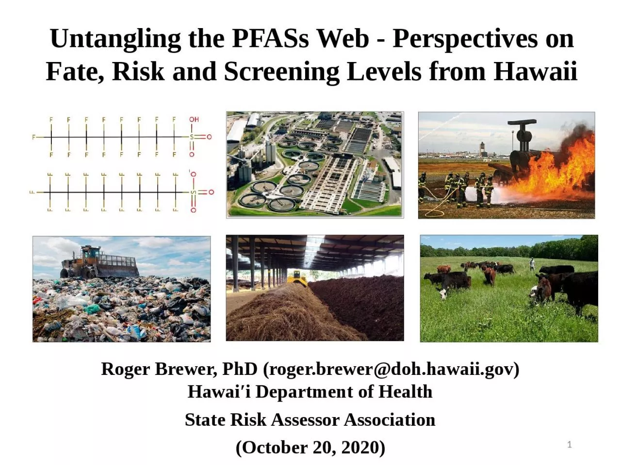 PPT-Roger Brewer, PhD (roger.brewer@doh.hawaii.gov)