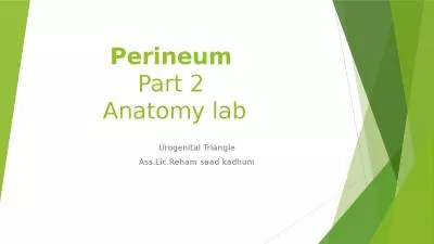 Perineum   Part 2  Anatomy lab