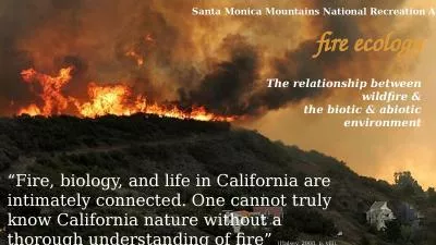fire ecology The relationship between wildfire &