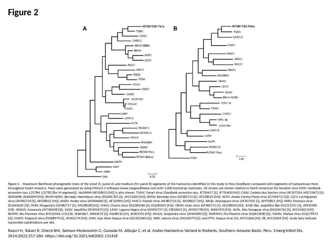 PPT-Figure 2 Figure 2. . Maximum likelihood phylogenetic trees of the small (S; panel A) and