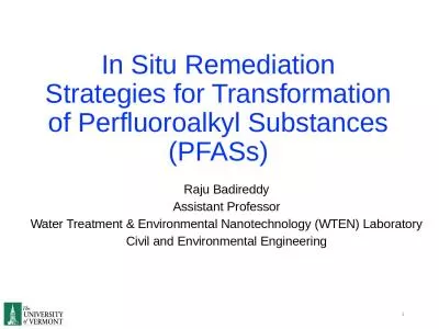 In Situ Remediation Strategies for Transformation of