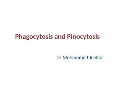 Phagocytosis and Pinocytosis