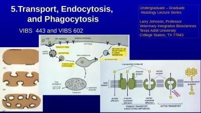 5.Transport , Endocytosis,