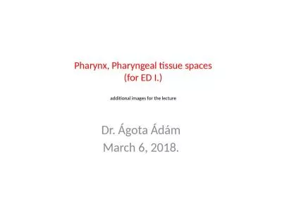 Pharynx ,  Pharyngeal   tissue