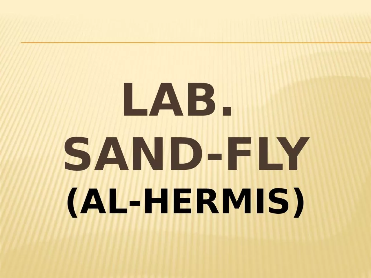 PPT-Lab. Sand-fly (Al- Hermis